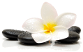 Decoration image
