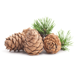 Decoration image